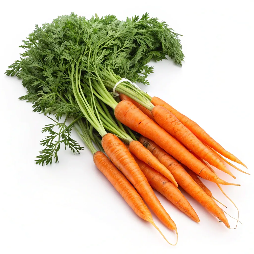 Bunch of Fresh Organic Carrots